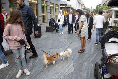 Både to- og firbenede kan torsdag 4. juni mødes til Open by Night i Herning midtby for første gang i år. Arrangøren lægger op til, at vi skal holde afstand og passe på hinanden. Her et møde fra august sidste år, hvor der også var Open by Night. Foto: tom Laursen