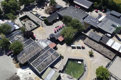 Jyllands Park Zoo. Foto: Tom Laursen