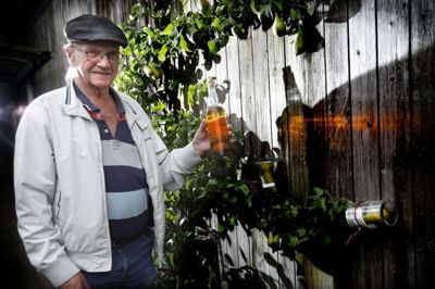 Gyldne dråber, der fanger lyset - samt forarbejdet til nye flasker surret fast på det lille pæretræ. Robert Madsen pusler sammen med sin hustru med brændevin og samler blandt andet urter ved sommerhuset. Og så dyrker de pærer i flasker til senere påfyldning af vodka. Onsdag 11. september fylder han 80 år. Foto: Henrik Ole Jensen henrik ole jensen