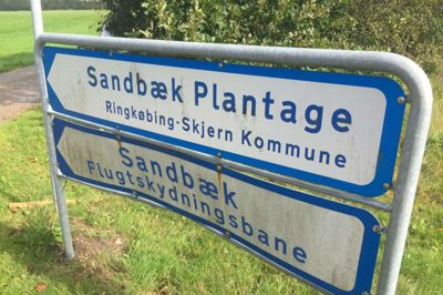 Sandbæk Plantage er med sine 143 hektar kommunens største. Der laves nye stier til gående og cyklende, og hestefolket kan få en særlig bane til en mere udfordrende ridetur. foto: ole skydt