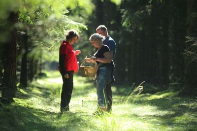Gitte Eriksen (t.v.) er naturvejleder og en af de to guider på turen. Først er der indsamling i skoven - og lidt undervisning - og så er der gennemgang af »byttet« i plenum. Foto: Henrik Lind Jørgensen
