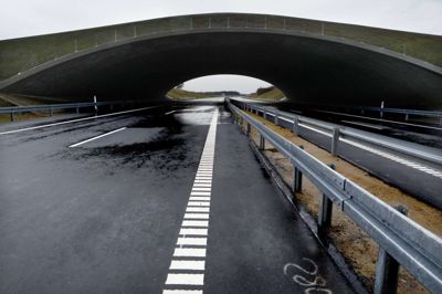 Motorveje er vigtige, men der skal mere til at skabe vækst. Foto: Henrik Ole Jensen