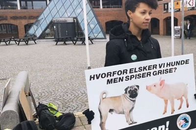 Fem aktivister fra Vegan Change protesterede onsdag foran kongrescentret. Foto: Aske Visser Ottosen
