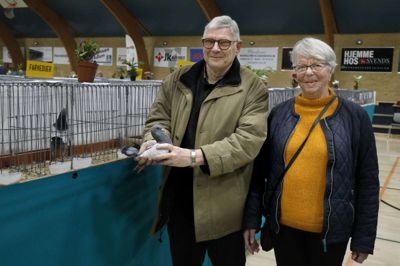 Da Knud og Jytte Nielsen flyttede dyrene fra land til by, skiftede de også duerace fra strasser til tyske modenesere. Desuden overtog Jytte Nielsen ejerskabet. De havde otte duer med på udstillingen i Aulum. Denne fik 95 point. 97 er maksimum. Foto: Henrik Ole Jensen