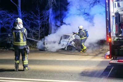 Bilen blev aldeles ødelagt ved sammenstødet med et vejtræ og den brand, som brød ud. Foto: Peter Erfurt