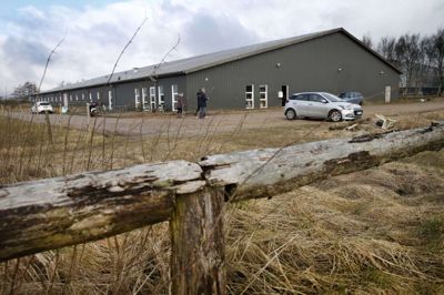 Holing Ridecenter inviterer byrådet til orienteringsmøde. Foto: Flemming Hansen
