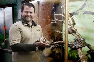 Jyllands Park Zoos chefdyrepasser, Jimmi Fejerskov Ladekjær, er særligt begejstret for de primitive krybdyr. Her holder han en leopardskildpadde i hånden. Og netop leopardskildpadden har været med til at give ham en helt speciel oplevelse ... Foto: Henrik Ole Jensen