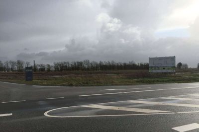 Her ud mod Skjernvej skal der placeres en solcellepark, anbefaler et flertal i byrådets teknik- og miljøudvalg. Foto: Ole Skydt