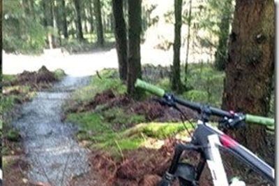 John Fenger fra Ikast mødte forhindringer på sporet, da han var ude at køre på sin mountainbike i Skelhøje Plantage. I et tilfælde var en forhindring blevet skjult af noget mos. Foto: Privatfoto