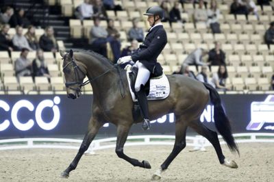 Hingstekåring og Hest & Rytter-messen finder sted lige nu i MCH Herning Messecenter. Foto: Henrik Ole Jensen