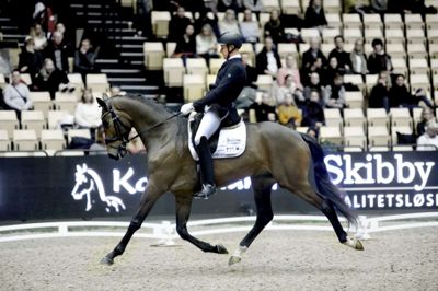 41-årige Michael Søndergaard Nielsen begyndte at ride allerede som 5-årig, og det har holdt ved lige siden. På billedet er det Lind-rytteren og hans fem-årige varmblods-vallak Nordstrands Caramello, der viser prøver på deres evner i Jyske Bank Boxen ved Unghestechampionat i dressur. Hestene bliver blandt andet bedømt på de forskellige gangarter og ridelighed. Foto: Henrik Ole Jensen