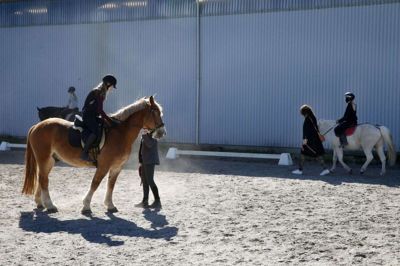 Herning Rideklub har problemer med at holde vandet væk fra rideanlægget. FOTO: FLEMMING HANSEN