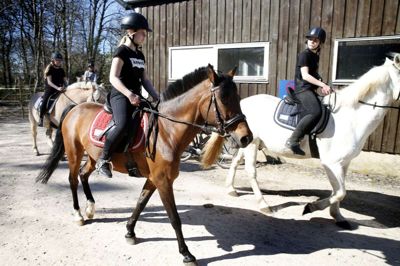 DGI og DIF har åbnet op for udendørs idræt uden kontakt. Derfor kan Herning Rideklub blandt andre begynde igen. Foto: Flemming Hansen