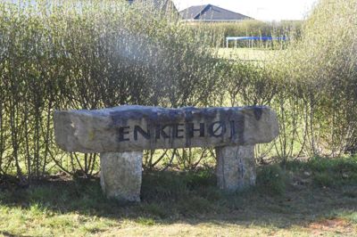 Indsigelser førte til et møde og en forståelse mellem parterne på Enkehøj i Brande. Foto: Flemming Thulstrup