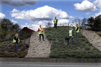 Det er lokale, der holder den flotte rundkørsel i Skarrild - en rundkørsel, som selv Søren Ryge har bemærket. Gruppen mødes hver anden uge for at holde bedene og sørge for, at det ser pænt ud. Fra venstre er det Helle Thomsen, Jonna Nielsen, Grethe Sprogøe, Kaj Tolvduvar Jensen og Ingrid Pedersen. foto: Henrik OLe Jensen