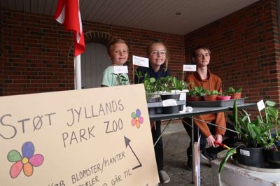 I boden på Fredenslundvej 22 i Vildbjerg kan man både købe blomster og perler. Indtægterne går ubeskåret til den corona-lukkede Jyllands Park Zoo. Foto: Henrik Lind Jørgensen