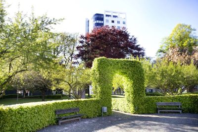 Byrådet har besluttet, at et opholdssted for socialt udsatte skal placeres i den lille park på hjørnet af Fredensgade og Dalgas Allé. Foto: Tom Laursen