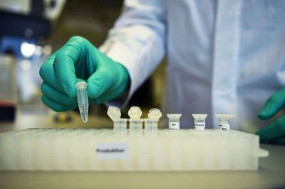 Hospitalsenheden Vest har fået godkendelse af Videnskabsetisk Komité til at bruge lokale covid-patienters blodprøver. Forskningen kan muligvis give svar på, hvorfor nogle patienter bliver mere syge af coronavirus end andre. Foto: Andreas Gebert/Reuters