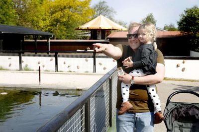 Martin Smedegaard og datteren Olivia stod klar ude foran Jyllands Park Zoo en halv time før, de åbnede. Da klokken slog 10.00, strøg de hen til pingvinerne, til stor glæde for begge. Foto: Flemming Hansen
