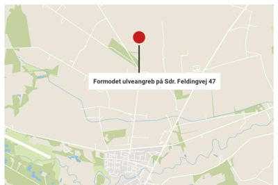 Hændelsen skete ved landmand Poul Lomholts indhegning med frilandsgrise lige nord for Sdr. Felding.