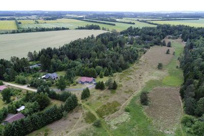 Sommerhusområdet ved Guldforhoved er anlagt omkring en gammel floddal, som gennemskæres af mange små stier. Foto: Tom Laursen