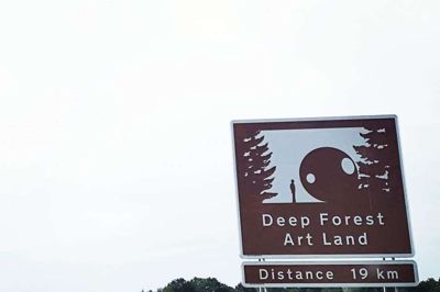 Langs den midtjyske motorvej før afkørslen til Arnborg kan man spotte et brunt skilt, der peger ind til Deep Forest Art Land - Skovsnogen, der ligger mellem Skarrild og Karstoft. Foto: Privatfoto
