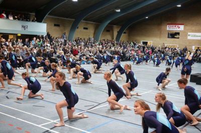 Foreningssamvirket melder om et godt og konstruktivt samarbejde med politikerne. Foto: Henrik Ole Jensen