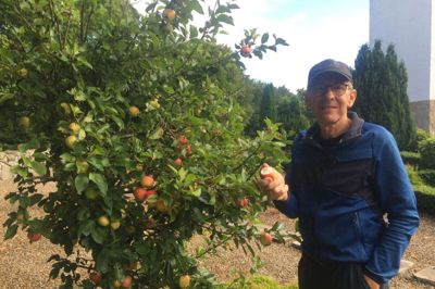 - Der er flere æbletræer, siger Gravers Kjærgaard. Foto: Ole Skydt
