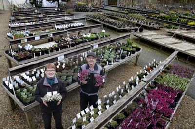 Herborg Planteskole tager del i Havens Dag i weekenden. Foto: Henrik Ole Jensen