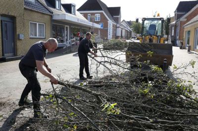 Forskønnelsen af Nr. Bredgade begyndte i går med, at de gamle træer blev fjernet. Bygaden får en makeover og står klar om cirka to måneder. Foto: Flemming hansen