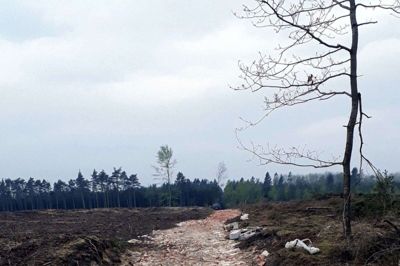 Foto: Herning Kommune