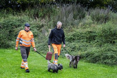 Så kan rotterne godt tage sig i agt! Allan Lindorff Lyngsø med Bosse og Peder Øster Madsen med Carlo rykker ud og bekæmper skadedyrene uden brug af gift. Miljøministeriet har strammet lovgivningen på området, når det gælder anvendelsen af gift, og derfor er kommunerne nødt til at gå nye veje i rottebekæmpelsen. I Silkeborg Kommune forsøger man at bekæmpe rotter både i byen og på landet helt uden brug af gift og tyr i stedet til klapfælder og brug af rottehunde.