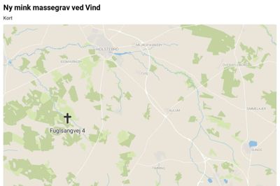 Det drejer sig om markjord belligende vest for Vind Hede og Sandfær, samt nord for Fuglkær Å. Den anførte adresse på ansøgningen er Fuglsangvej 4, 7500 Holstebro. Området tilhører Naturstyrelsen. Foto: Datawrapper
