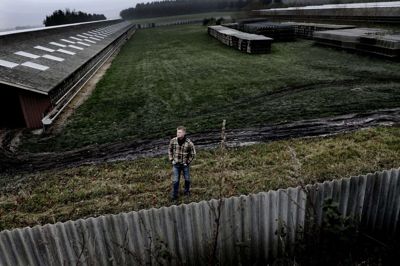 Der var købt nye bure ind og gjort klar til udvidelse af minkfarmen godt syv kilometer syd for Ikast. Nu er Jens-Ingemann Feldbaks farm tom. Foto: Henrik Ole Jensen