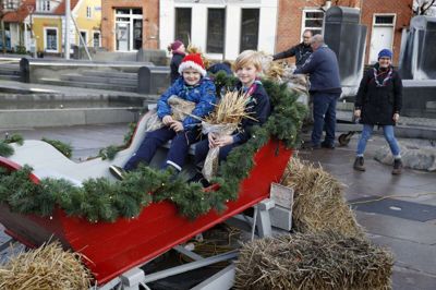 Lukas Dam og Malte Moesgaard, begge syv år, var på plads i kanen, da spejderne i Brande som sædvanlig solgte juleneg.