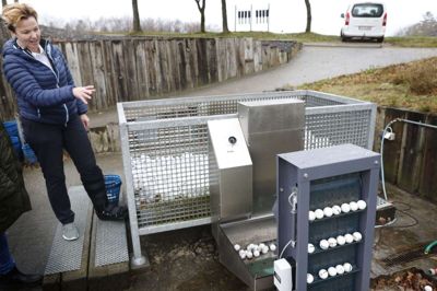 Maibrit Juhl og resten af medarbejderstaben i Trehøje Golfklub har fået nyt maskineri, der skal skåne deres kroppe for tunge løft og dumme vrid. Det er en boldsamler med tilhørende boldgrav, der kan kobles til klubbens vaskeanlæg. Foto: Flemming Hansen