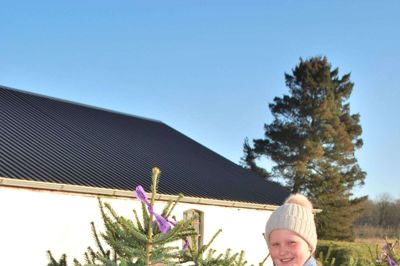 Der kan godt købes juletræer og andre sager i Haderup, men det bliver lidt anderledes i år. Foto: Privatfoto