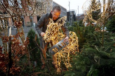 Den lille kalv, der har fået navnet »Håb«, er det nyeste medlem af hjortefamilien, der står på torvet. Tirsdag hængte citychef Allan Kristensen et navneskilt om dens hals. Foto: Flemming Hansen