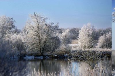 Foto: Tom Laursen