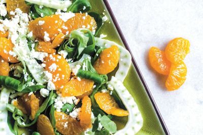 Mandarin-fennikel-salat. Foto: Rebecca Leth-Nissen Johansen