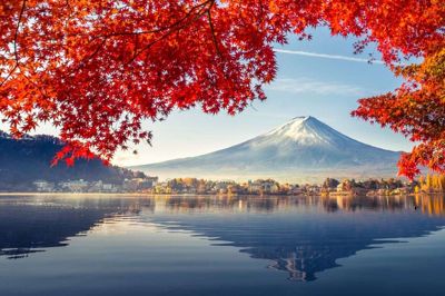 Området omkring Mount Fuji er utrolig smukt i efterårsfarver. Vi får stor fornøjelse af den varierede natur på vores mange togture. Foto: Pr-foto