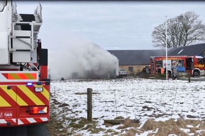 Ejeren af gården på Søbjergvej, hvor der opstod brand søndag ved 15-tiden, havde selv fået sine seks kreaturer ud af stalden, inden Brand & Redning Midtvest ankom. Foto: Holck-photo