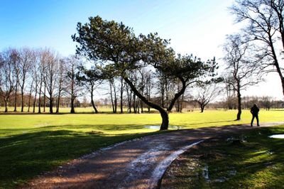 Fremover kan man måske møde kunst på Herning Golf Klubs bane. Foto: Flemming Hansen
