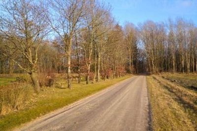Det handler om at komme ud i den smukke natur og blive inspireret til nye gåture. En af gåruterne i Stakroge fører forbi Ilderhede og videre ud på en grusvej. Foto: Privatfoto