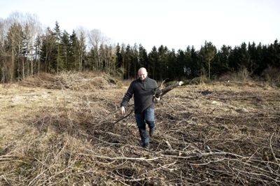 4000 arbejdstimer har restauratør Morten »Kok« Thomsen og frivillige hjælpere foreløbig lagt i at forvandle et syv hektar område til kokkens store drøm om et sted med blandt andet kursuscenter og gourmetkokkeskole i naturen. Blandt de tidskrævende opgaver har været at få bugt med den invasive træsort bævreasp, som kokken her ses slæbe væk. Foto: Tom Laursen
