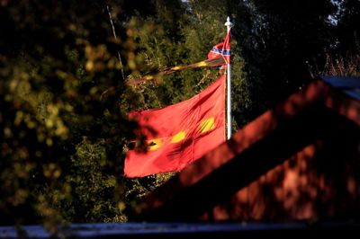 Fogedretten smed omkring 2014 den psykisk syge mand ud af kolonihaveforeningen Ålykke, hvor han i flere år havde terroriseret de andre beboere. Her et billede af mandens daværende flagstang, hvor han flagede med det amerikanske sydstatsflag og et hjemmelavet Christiania-flag. Foto: Henrik Ole Jensen