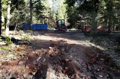 Oprydning i Rind Plantage. Foto: Flemming Hansen