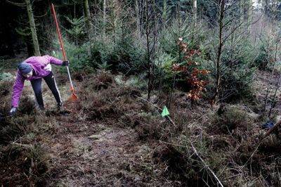 Lena Barslund, Poul Østergaard og Karsten Møller Jensen i gang i et af de mange sving, der kendetegner det 2,5 kilometer lange spor neden for toppen af Resdal Baune. Foto: Henrik OLe Jensen