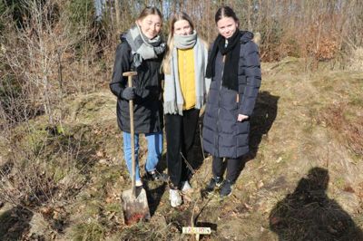 Bag træets lidt sølle ydre gemmer der sig et prinsessetræ, og derfor er »Askepot« et passende navn. Det mener i hvert fald de tre piger, der har sat træet i jorden. Fra venstre er det Mathilde Dahl Nielsen, Sanne Flarup og Sarah Løgager Holst-Pedersen. Foto: Privatfoto