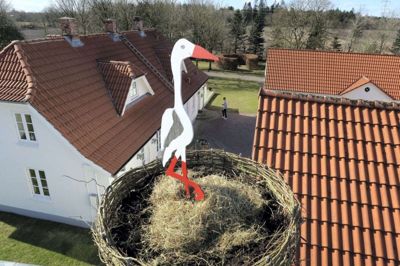 Indtil videre må beboerne i Fasterholt nøjes med denne træstork - der har fået plads i reden på skorstenen hjemme hos byrådsmedlem Anders Madsen (V) og ægtefællen, Lis Just. FOto: Bo Lundgaard